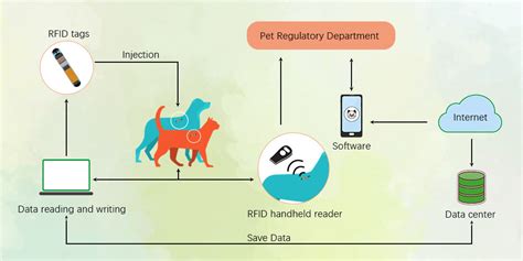 animal visual rfid tag|rfid based animal identification system.